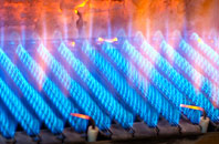 Lenton gas fired boilers